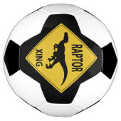Raptor Xing Fußball (Gedreht)