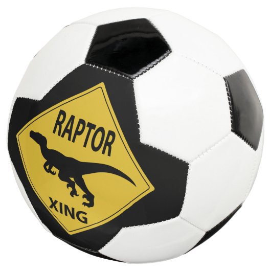 Raptor Xing Fußball (Dreiviertel)