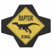 Raptor Xing Fußball (Flach)