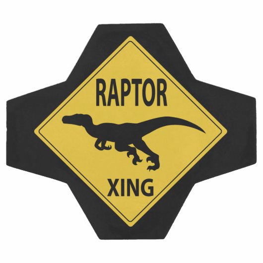 Raptor Xing Fußball (Flach)