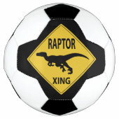 Raptor Xing Fußball (Vorderseite)