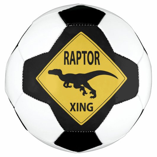 Raptor Xing Fußball (Vorderseite)