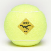 Raptor XING Tennisbälle (Vorderseite)