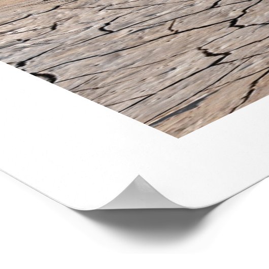 RAPTORDRUCK POSTER (Ecke)