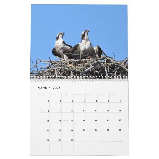 Raptoren Kalender (Mär 2026)