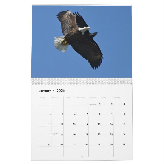 Raptoren Kalender (Jan 2026)