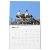 Raptoren Kalender (Mär 2027)