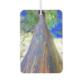 Raqinbow Eucalyptus Air Freshener Autolufterfrischer (Vorderseite)