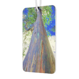 Raqinbow Eucalyptus Air Freshener Autolufterfrischer