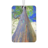 Raqinbow Eucalyptus Air Freshener Autolufterfrischer (Rückseite)