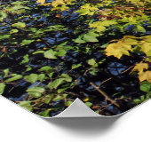 Raquette Lank im Adirondack print 08 229 Poster (Ecke)