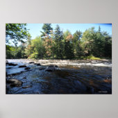 Raquette River im Adirondack, Print 08 258 Poster (Vorne)
