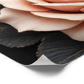 Rare as a black swan, timeless as true love. poster (Ecke)