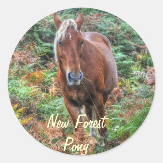Rare Palomino New Forest Pony & Bracken - England Runder Aufkleber
