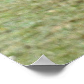 Rare Wild New Forest Palomino Pony Hampshire, UK Poster (Ecke)