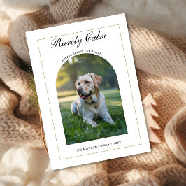 Rarely Christmas Cute dog Simple Photo card Feiertagskarte