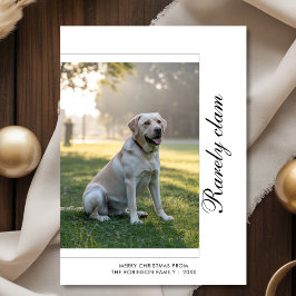 Rarely Christmas Dog Holiday Card | Pet Photo Feiertagskarte