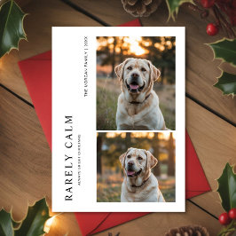Rarely Christmas Park Outdoor Dog Holiday card Feiertagskarte