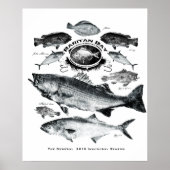 Raritenbucht Poster (Vorne)