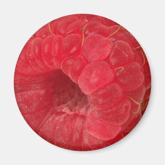 Rasberry Magnet (Vorne)