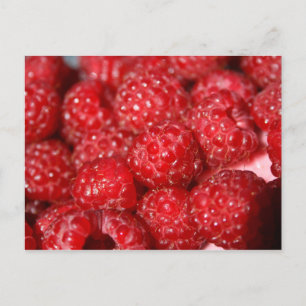 Rasberry Obstauflage Design-Bild Postkarte