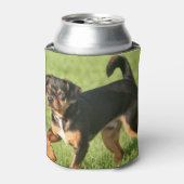 Rascal Dosenkühler (Kanne Vorderseite)