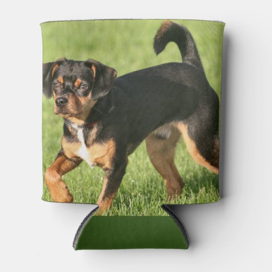 Rascal Dosenkühler (Vorderseite)