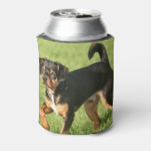 Rascal Dosenkühler (Kanne Rückseite)