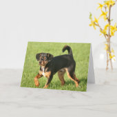 Rascal Karte (Gelbe Blume)