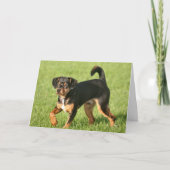 Rascal Karte (Vorderseite)