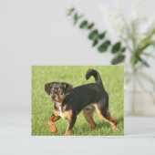 Rascal Postkarte (Stehend Vorderseite)