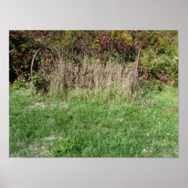 Rasen auf den Wegen Poster