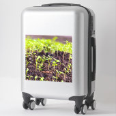 Rasen Aufkleber (Koffer)