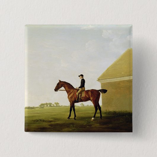 Rasen, c.1765 (Öl auf Leinwand) (sehen Sie 152743) Button (Vorderseite)