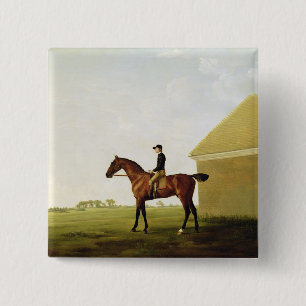 Rasen, c.1765 (Öl auf Leinwand) (sehen Sie 152743 Button
