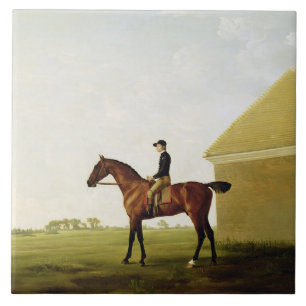 Rasen, c.1765 (Öl auf Leinwand) (sehen Sie 152743 Fliese