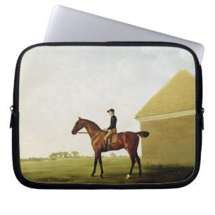 Rasen, c.1765 (Öl auf Leinwand) (sehen Sie 152743) Laptopschutzhülle