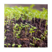 Rasen Fliese (Vorderseite)