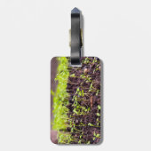 Rasen Gepäckanhänger (Rückseite vertikal)