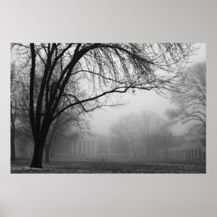 Rasen im Nebel Poster