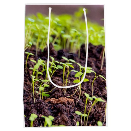 Rasen Mittlere Geschenktüte (Rückseite)