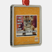 Rasen Sprinklur Timer Silbernes Ornament (Rechts)