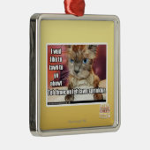 Rasen Sprinklur Timer Silbernes Ornament (Rechts)