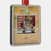 Rasen Sprinklur Timer Silbernes Ornament (Rechts)