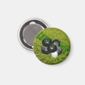 Rasenbowle auf grünem Gras, Magnet (Vorderseite/Rückseite)