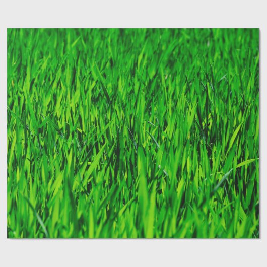 Rasenfläche Geschenkpapier (Flach)