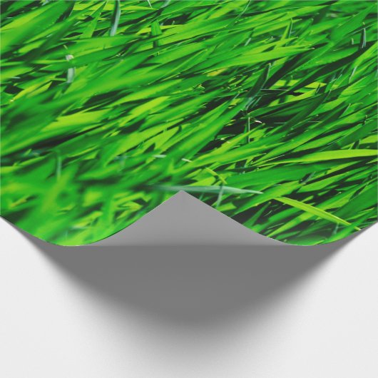 Rasenfläche Geschenkpapier (Ecke)