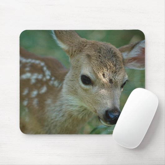 Rasenfläche Mousepad (Mit Mouse)
