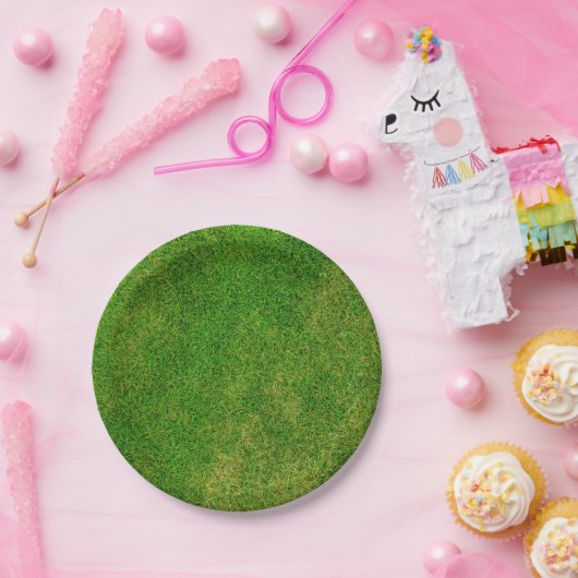 Rasenfläche Pappteller (Party)