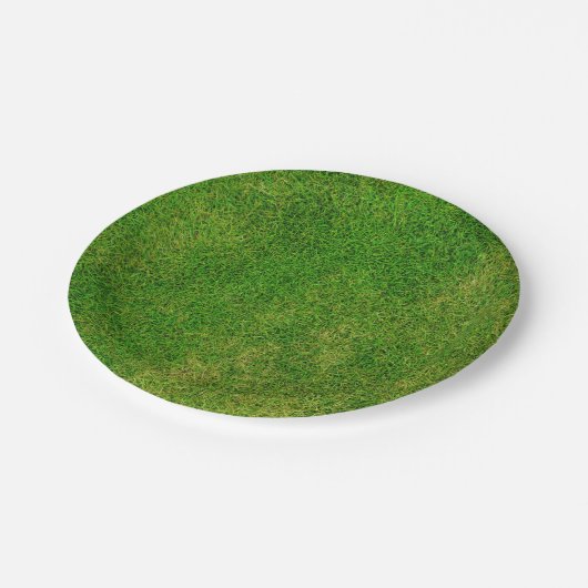 Rasenfläche Pappteller (Schrägansicht)